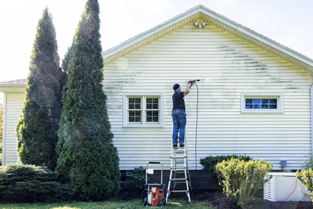 Best Roof Pressure Washing  in Scott, LA